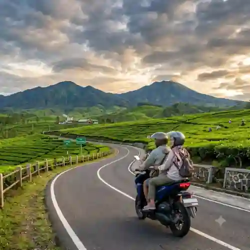 Wisatawan Naik Motor Vario Jalan-Jalan di Ciwidey